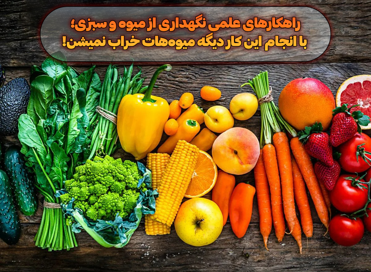 راهکارهای علمی نگهداری از میوه و سبزی؛ با انجام این کار دیگه میوه‌هات خراب نمیشن!