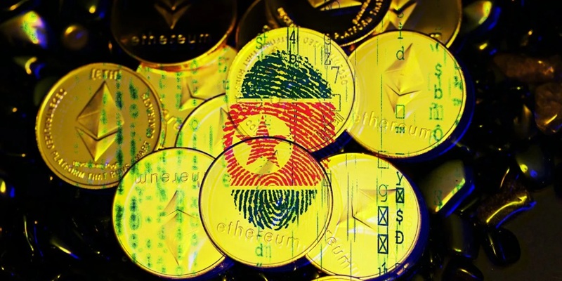 گروه TraderTraitor